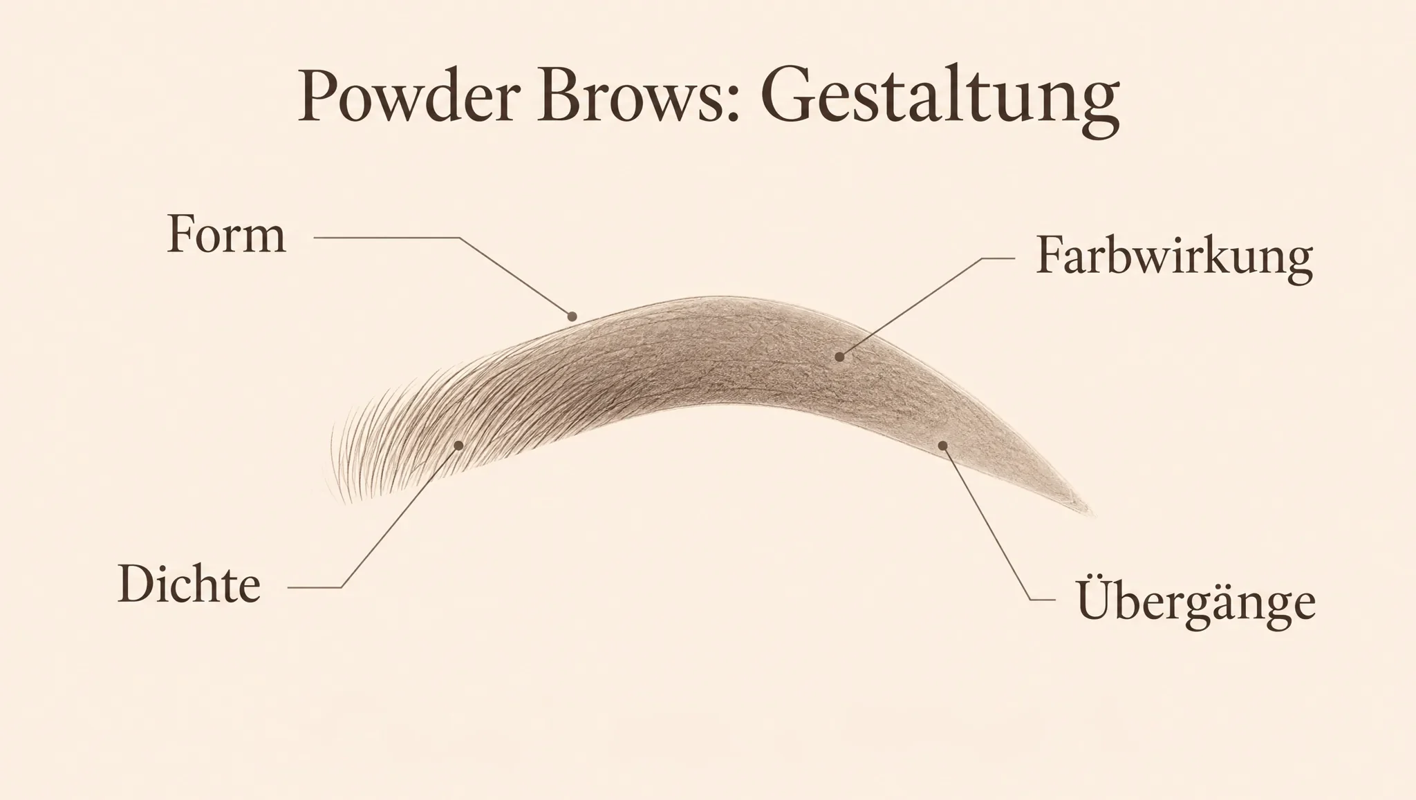 Illustration zu Form, Farbwirkung, Dichte und Übergängen bei der Planung natürlicher Powder Brows.
