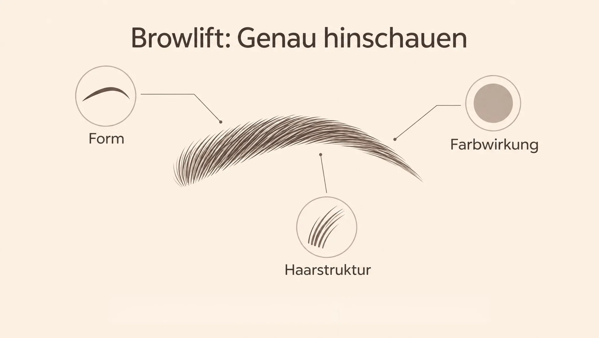 Illustration zur Browlift-Beurteilung mit den drei Bereichen Form, Farbwirkung und Haarstruktur.